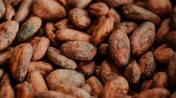 Cacao & Diabetes Prevention